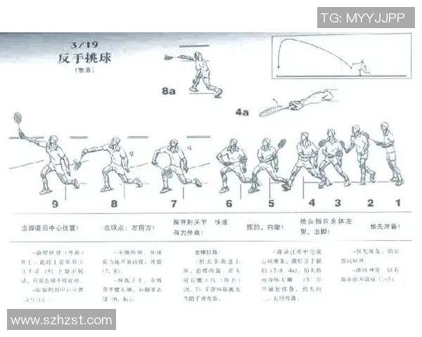 深入探讨北京羽毛球队配合默契与战术执行的独特分析