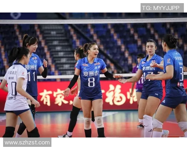 数据分析：深圳排球队的技术表现