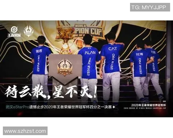 王者荣耀纪实：记录LNG的奋斗经历